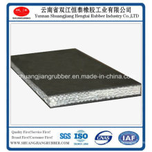 2015 Chinese Whole Core Flame Retardant Conveyor Belt for Sale